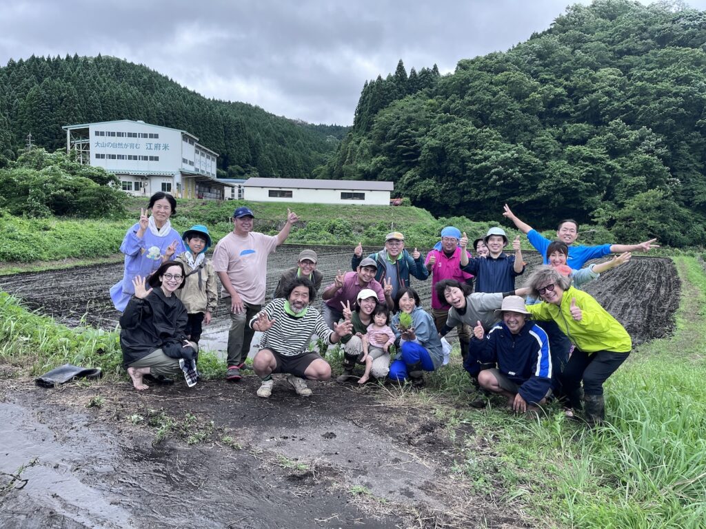 田んぼの風景