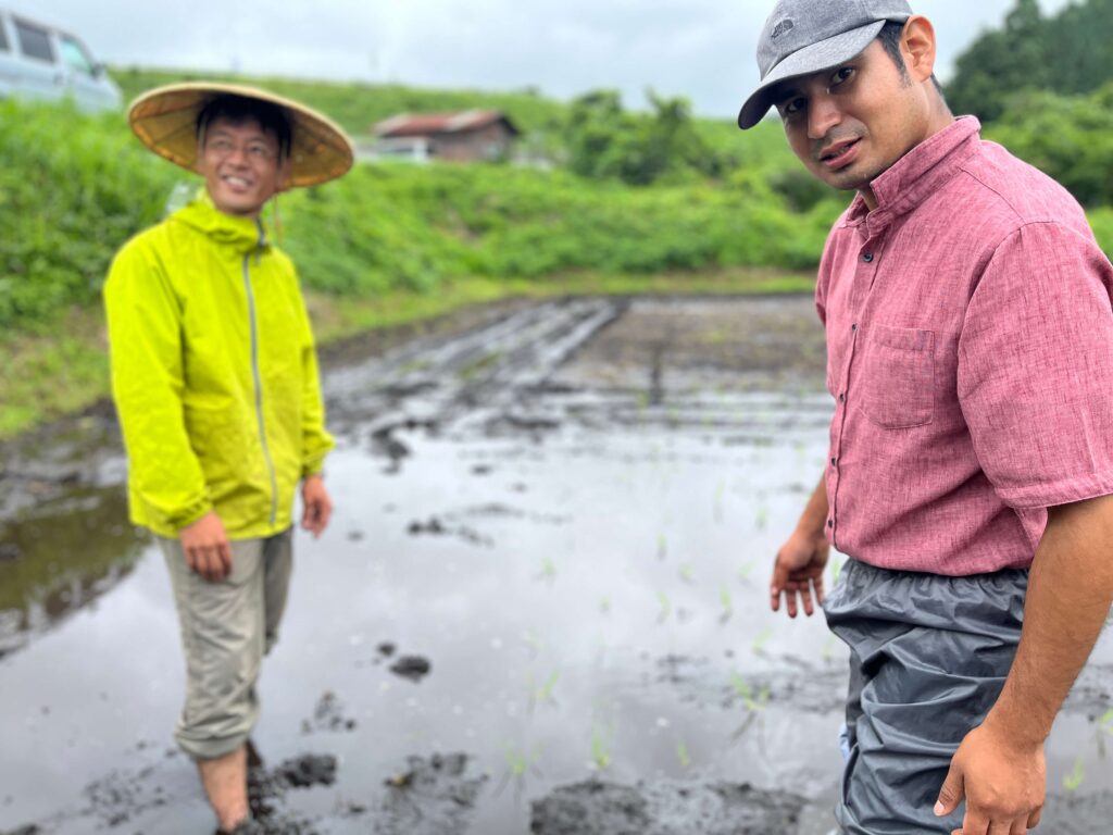 田んぼの様子2