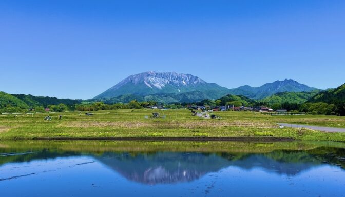 自然栽培・二毛作コース2026｜プラネタリーヘルス田んぼ実践