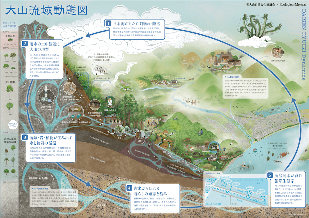 大山流域動態図